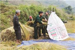 Phong trào thi đua Quyết thắng  góp phần hoàn thành xuất sắc nhiệm vụ chính trị
